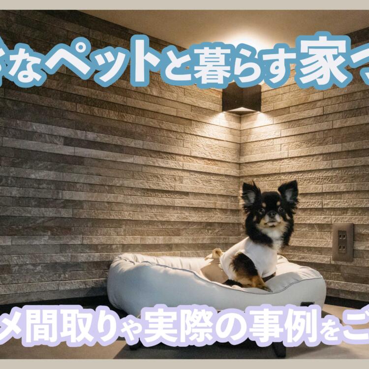 大好きなペットと暮らす家づくり。オススメ間取りや実際の事例をご紹介！