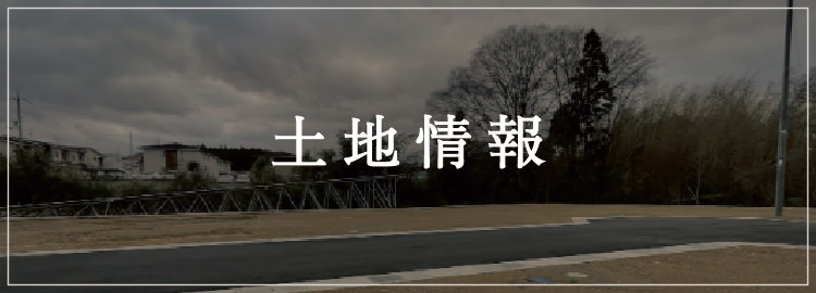 土地情報