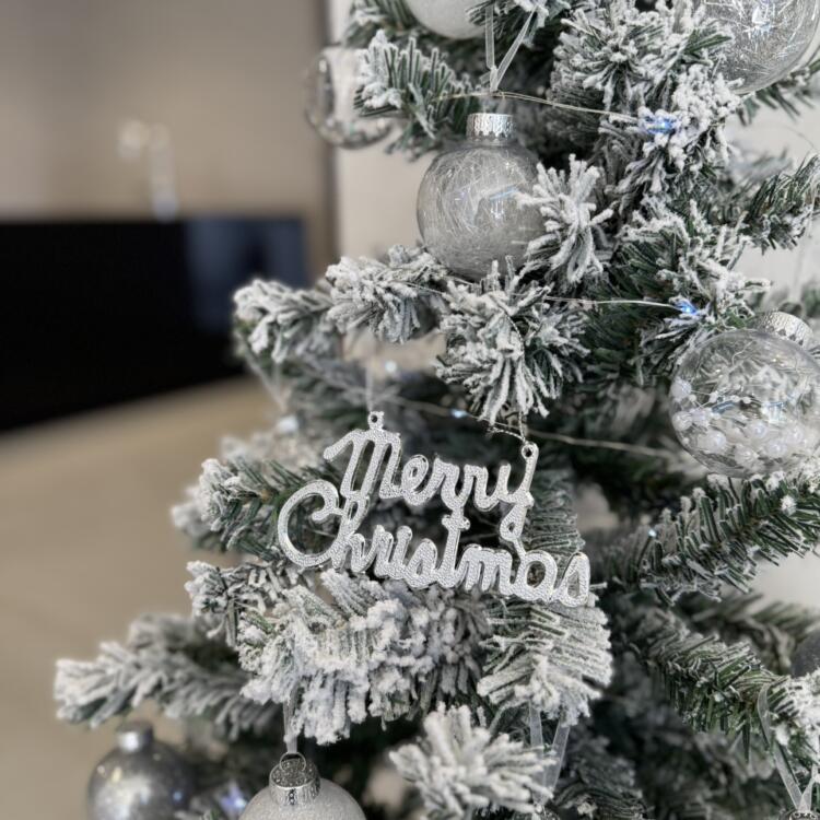 クリスマスツリーを飾りました🎄