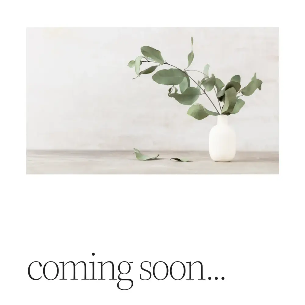 【NEW見学会】採光の最高な家in.大垣市